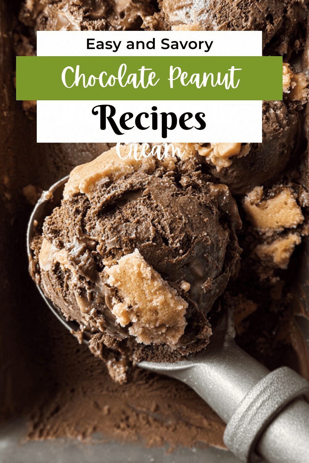 Chocolate Peanut Butter Cookie Ice Cream