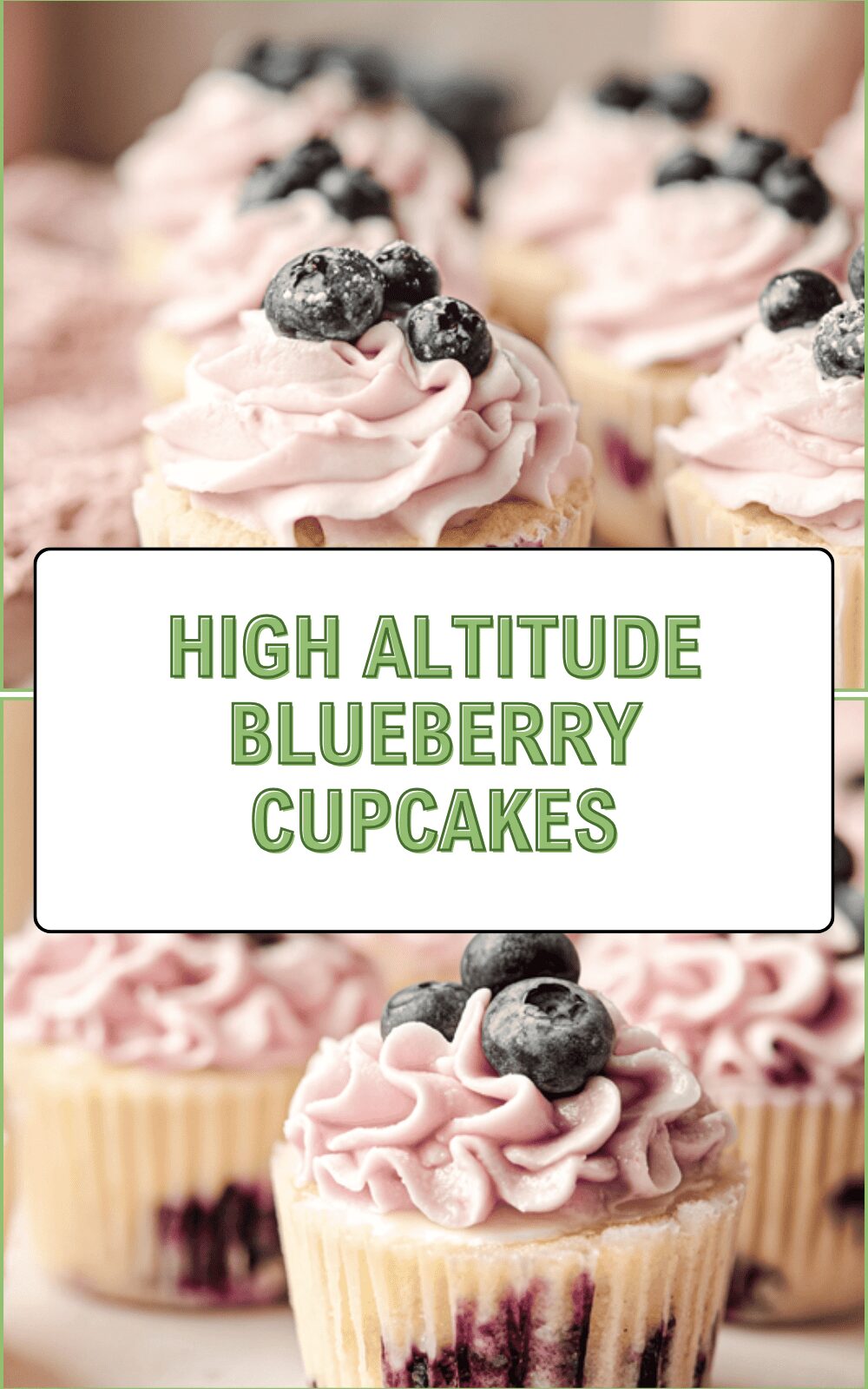 High Altitude Blueberry Cupcakes Recipe For Perfect Fluffy Results 6 High Altitude Blueberry Cupcakes