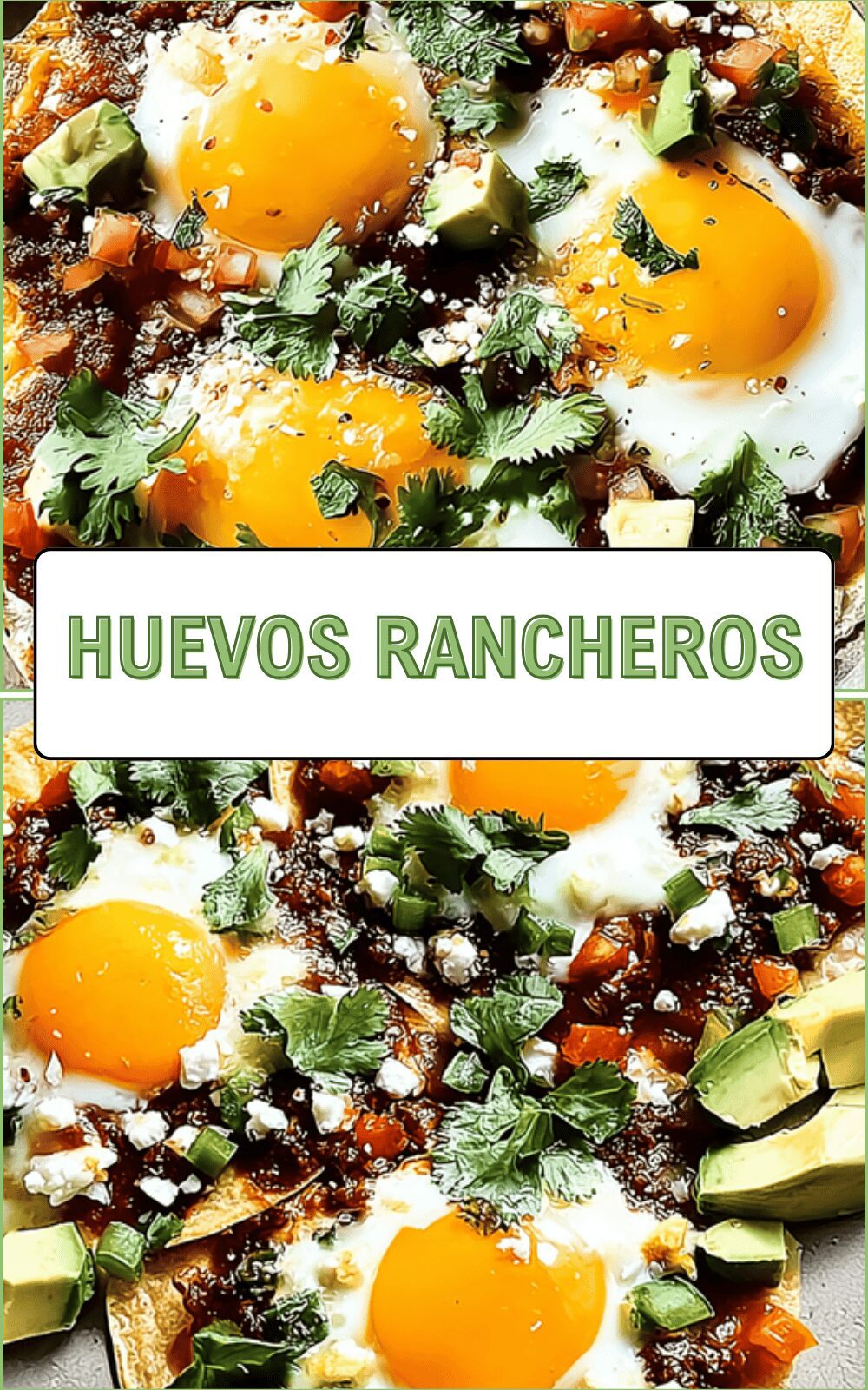 Huevos Rancheros Recipe With Fresh Ingredients And Authentic Flavors 6 Huevos Rancheros