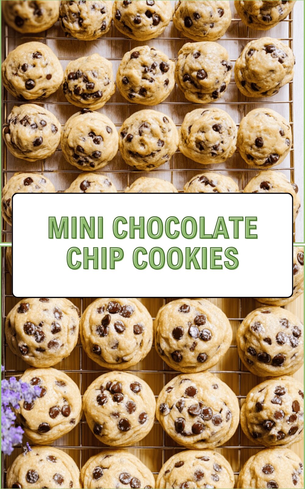 Mini Chocolate Chip Cookies