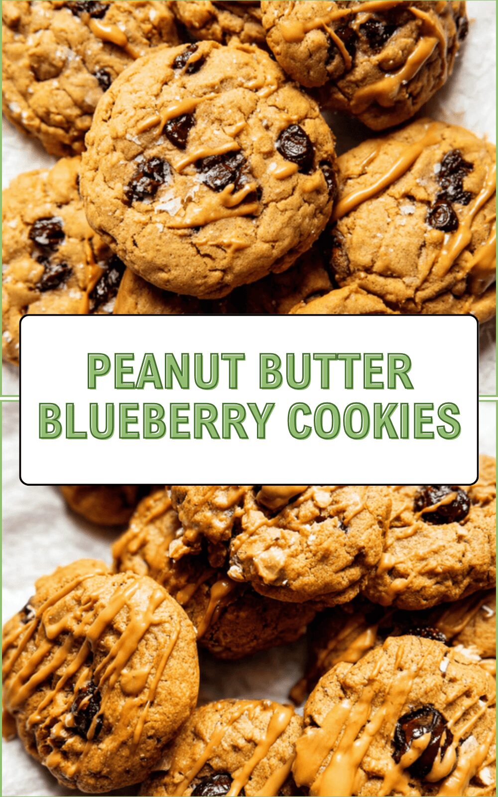 Peanut Butter Blueberry Cookies