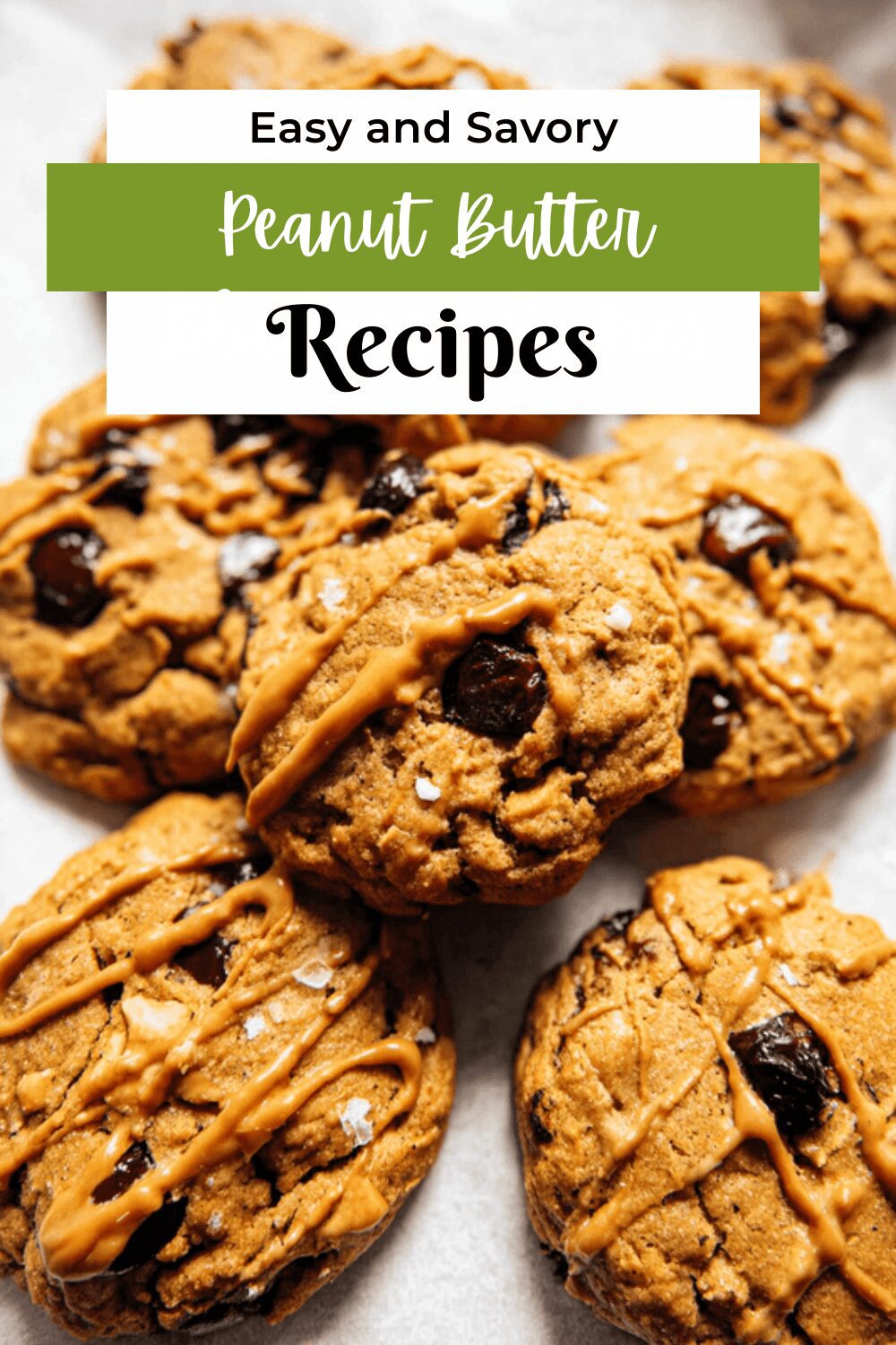 Peanut Butter Blueberry Cookies