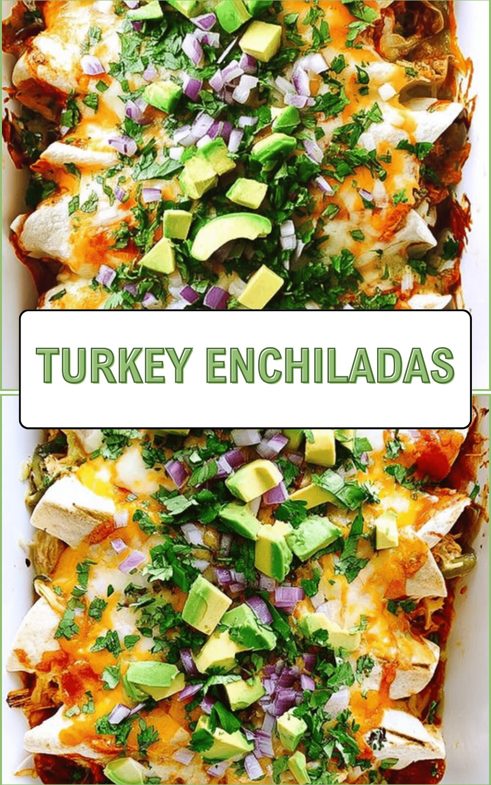 Turkey Enchiladas