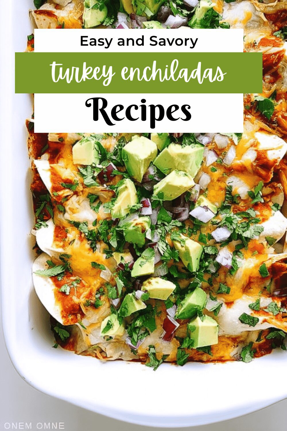 Turkey Enchiladas