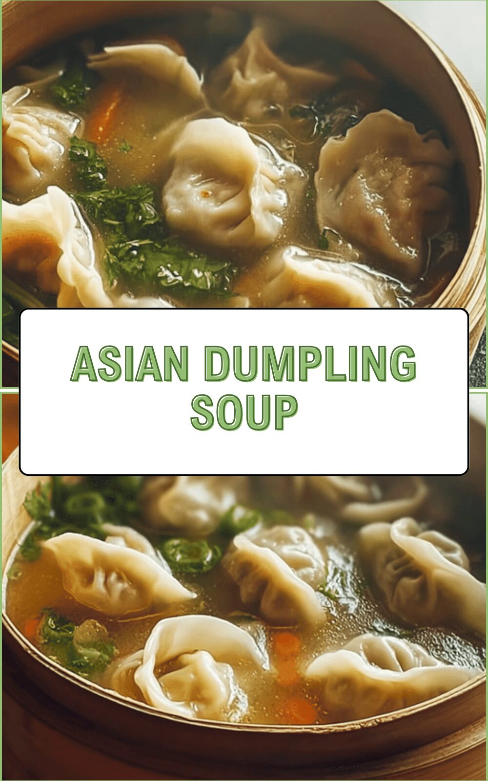 Asian Dumpling Soup