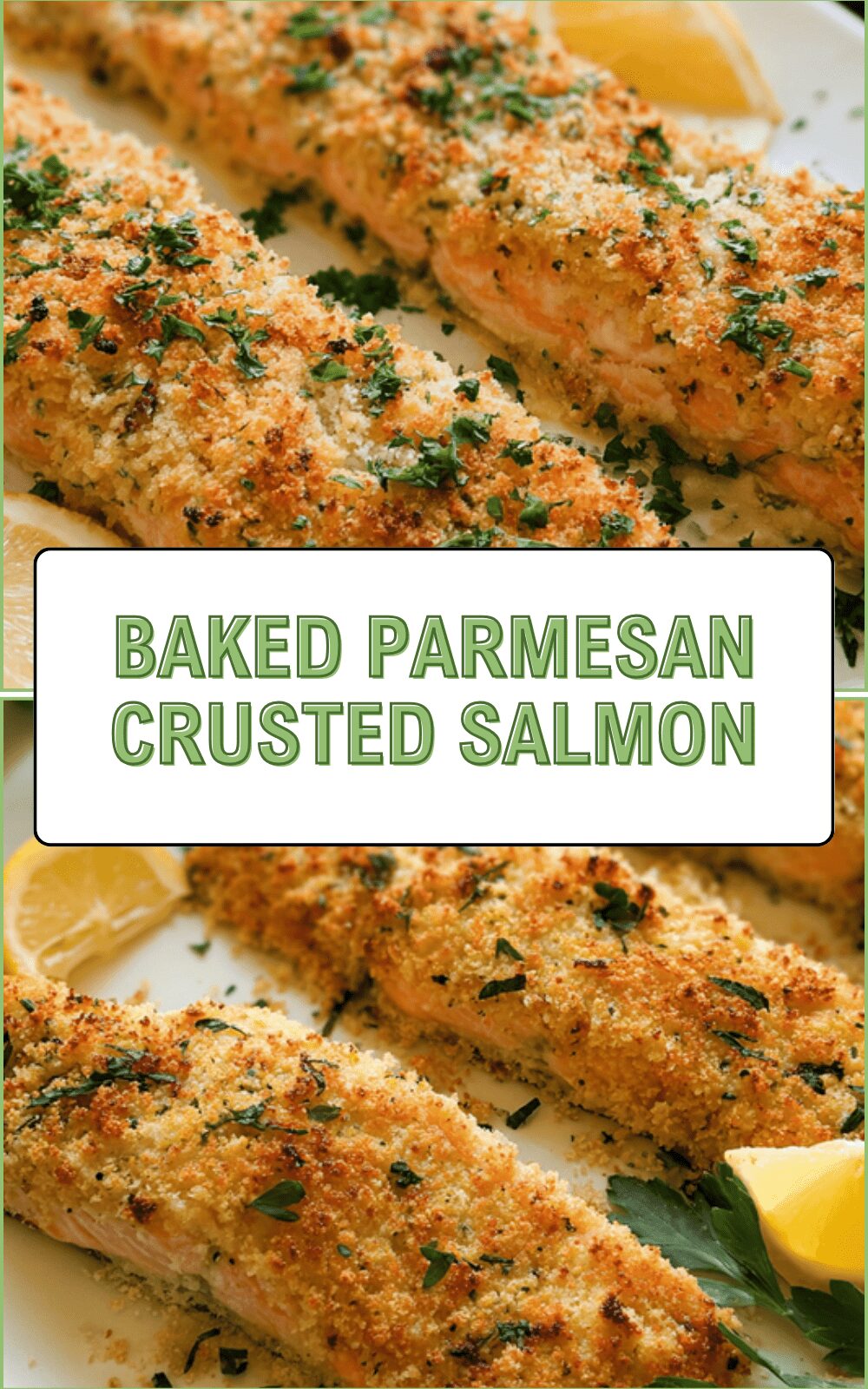 Baked Parmesan Crusted Salmon