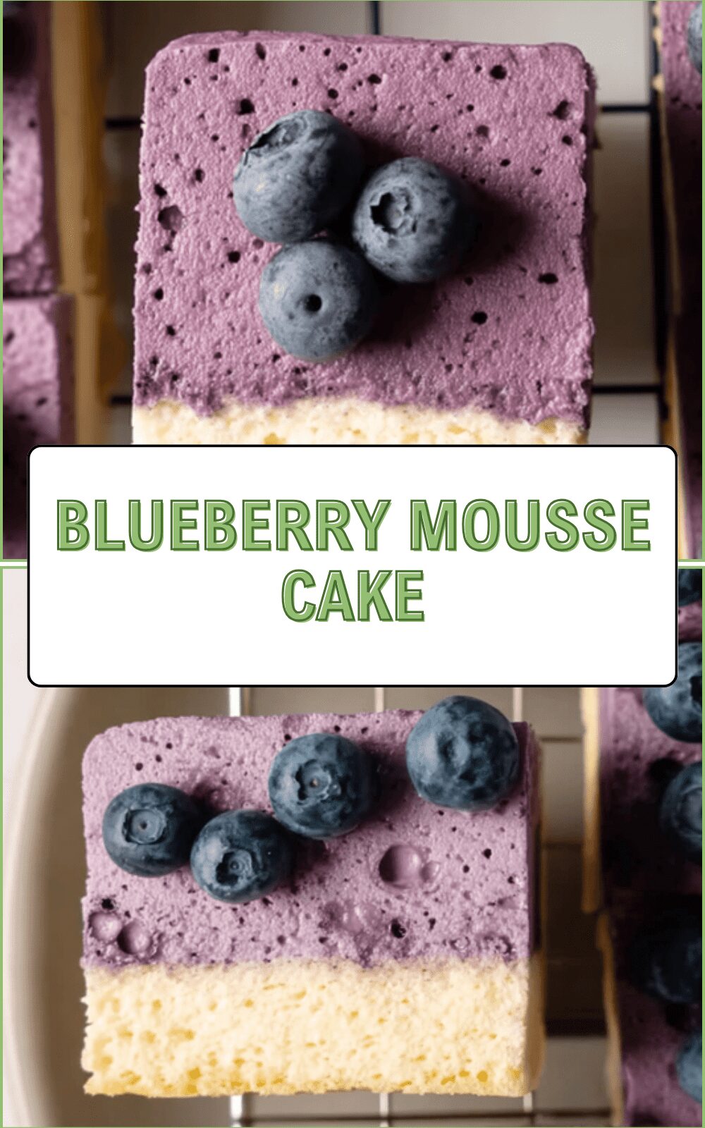 Blueberry Mousse Cake