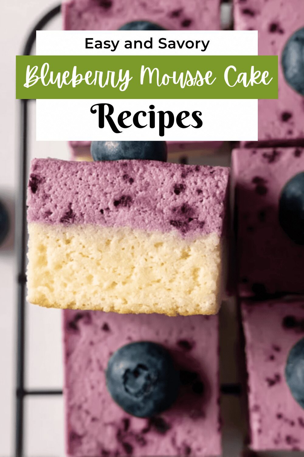 Blueberry Mousse Cake