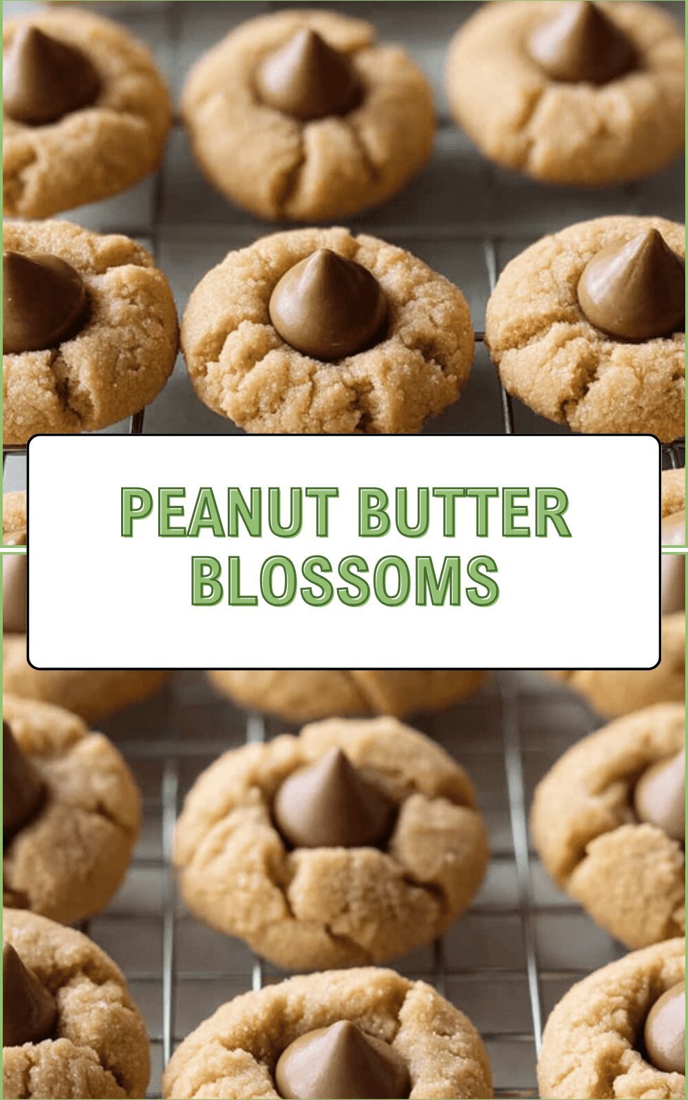 Classic Peanut Butter Blossom Cookies Recipe With Soft Centers And Sweet Kisses 6 Peanut Butter Blossoms