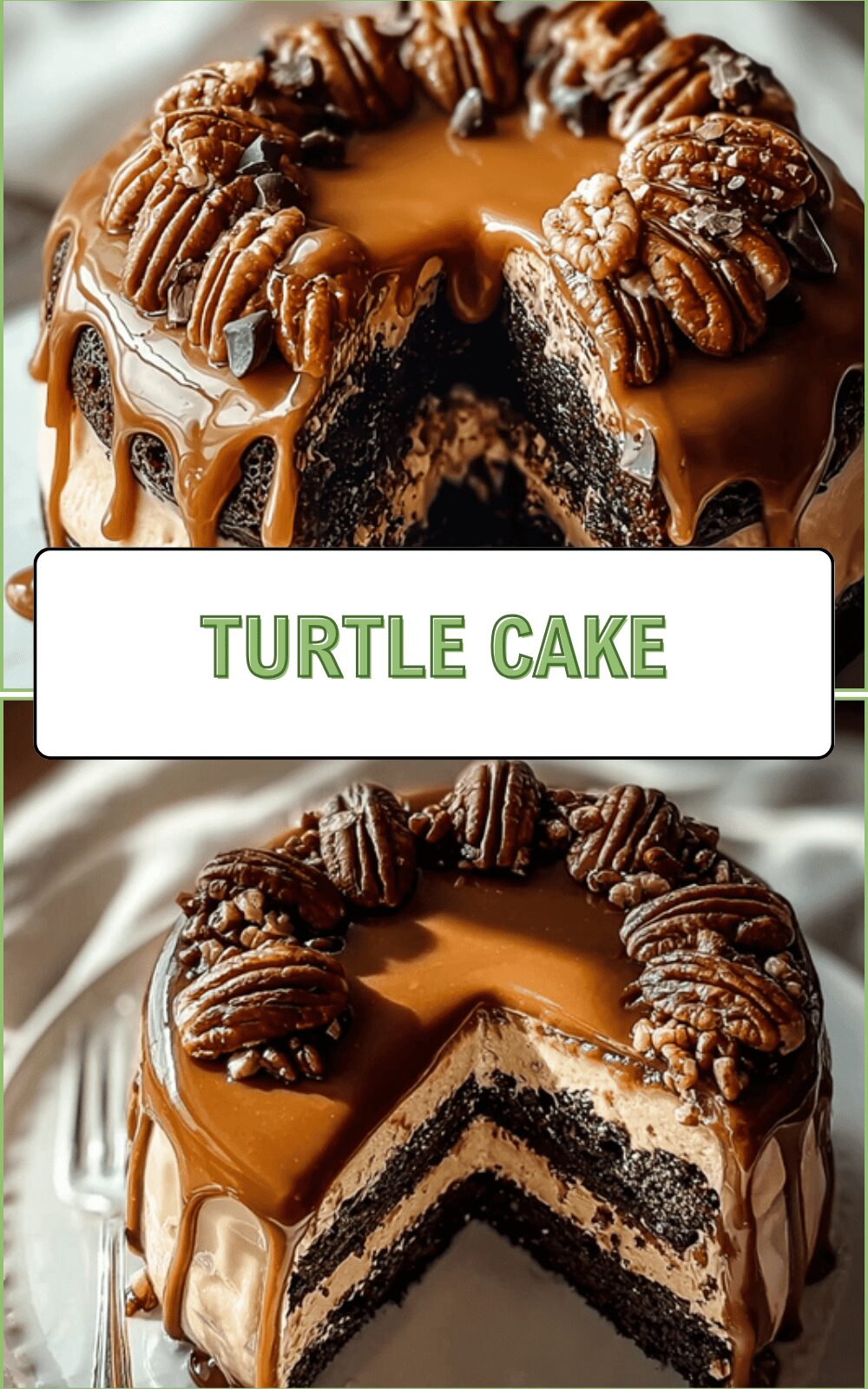 Turtle Cake