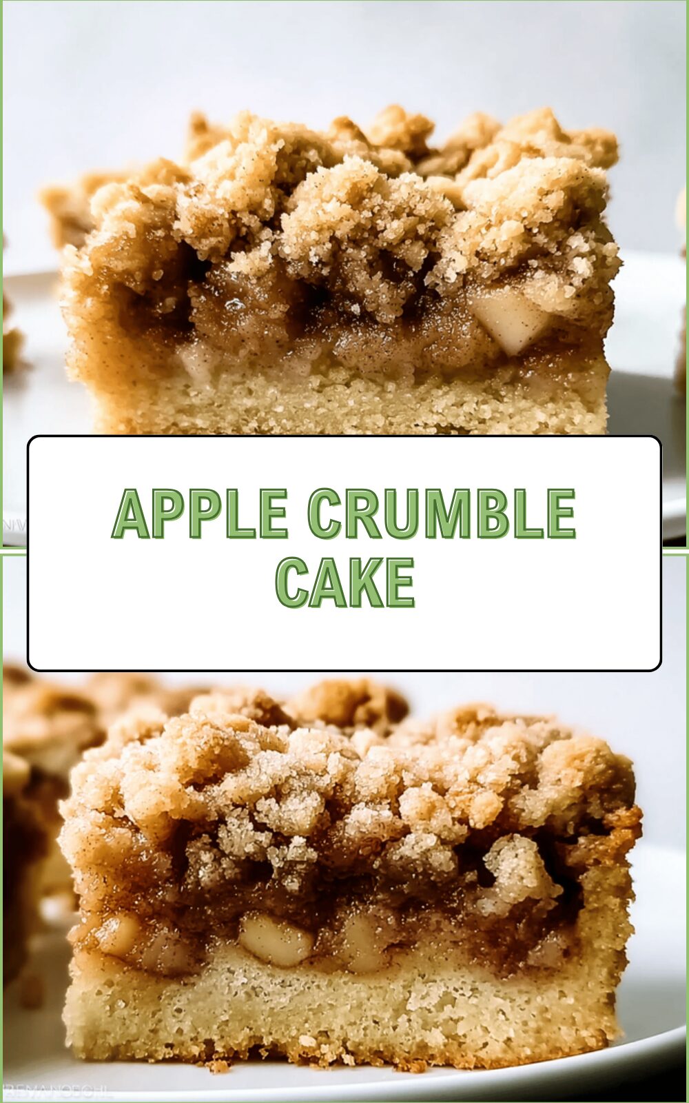 Apple Crumb Cake Recipe With Cinnamon And Streusel Topping 6 Apple Crumble Cake