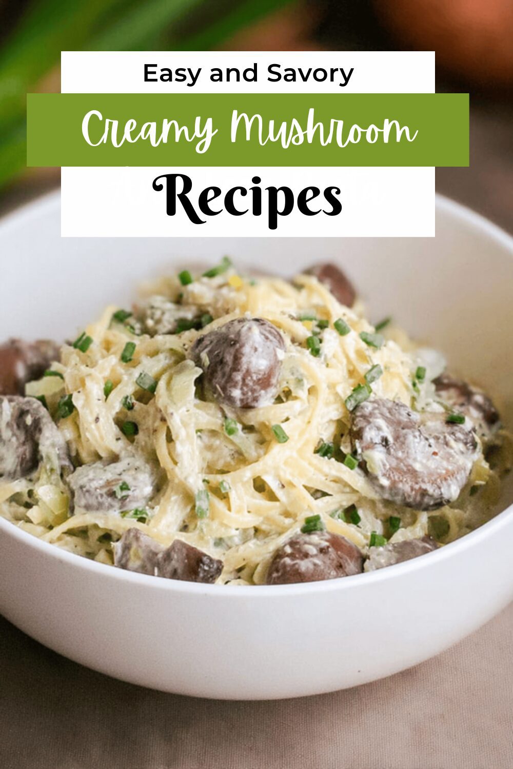 Creamy Mushroom And Leek Pasta