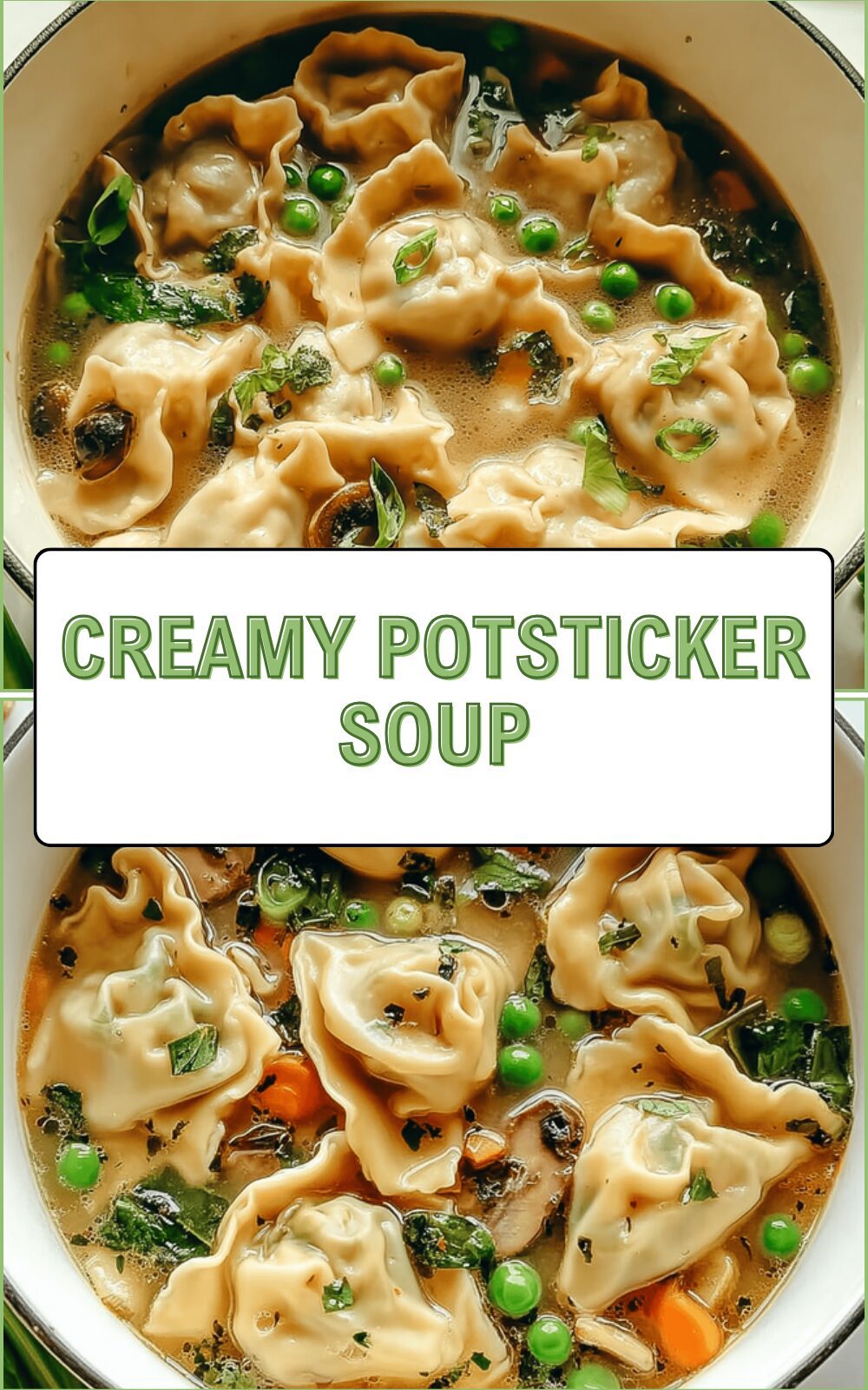Creamy Potsticker Soup