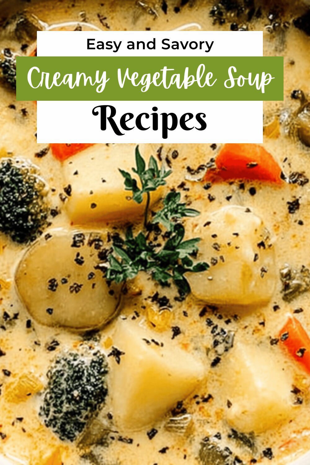 Creamy Vegetable Soup