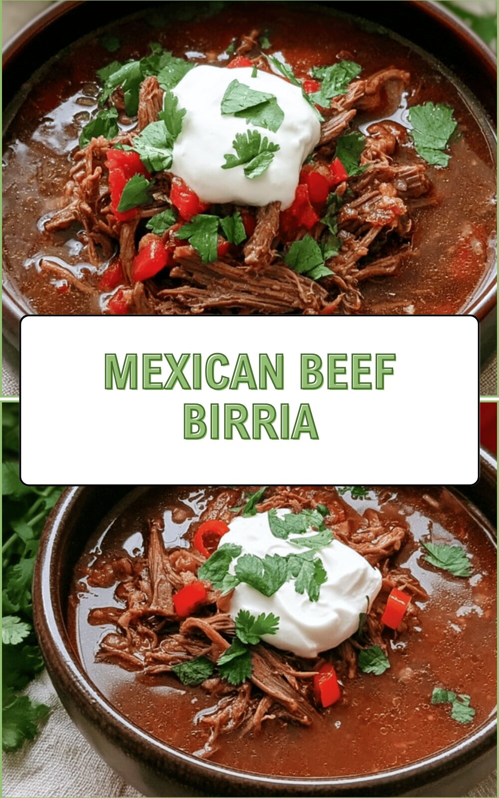 Mexican Beef Birria