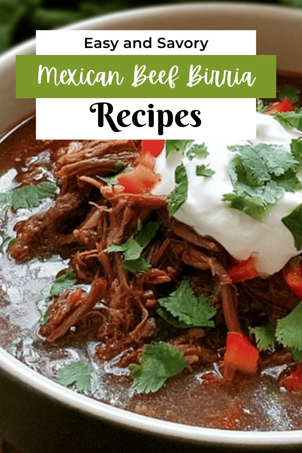 Mexican Beef Birria