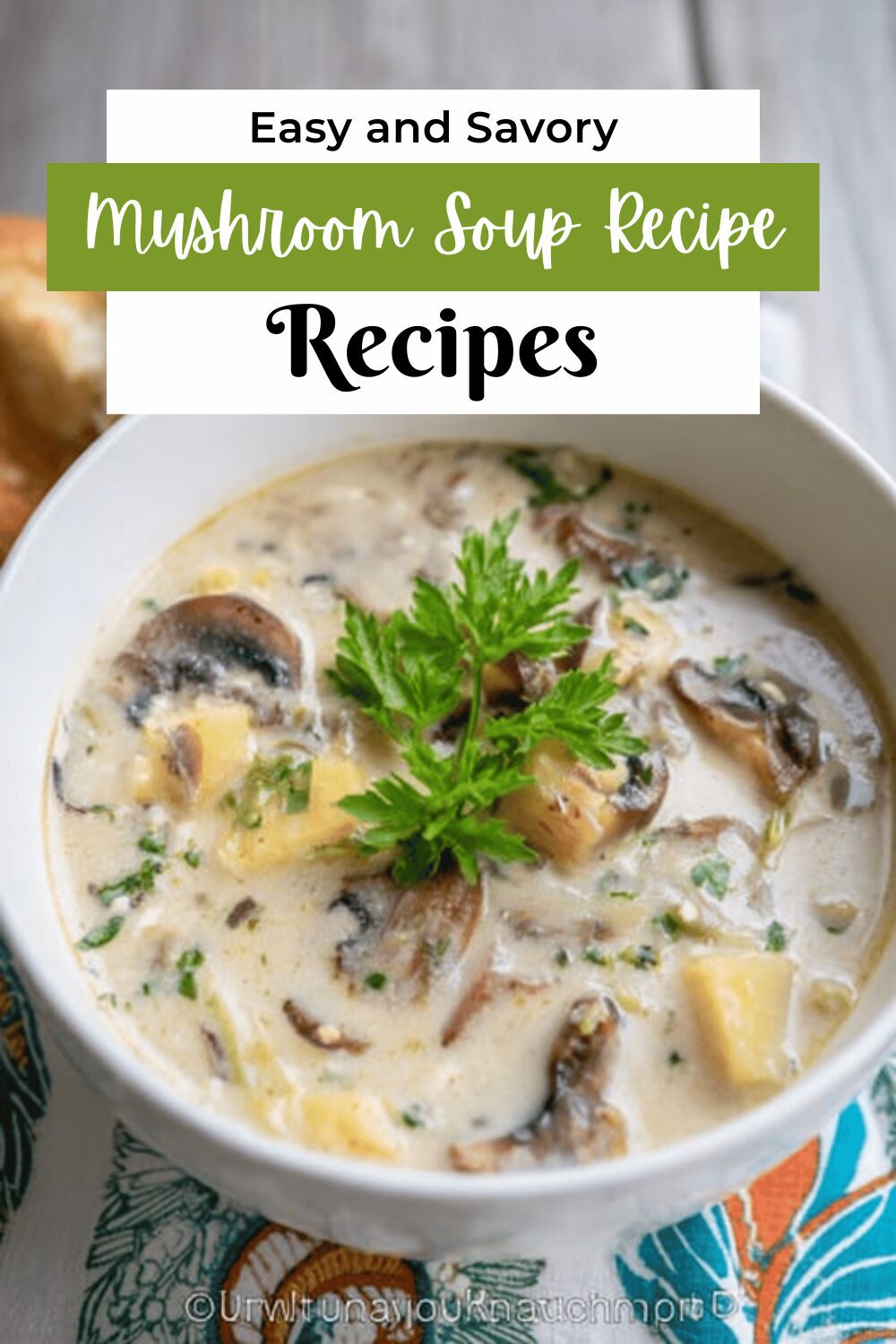 Mushroom Soup Recipe