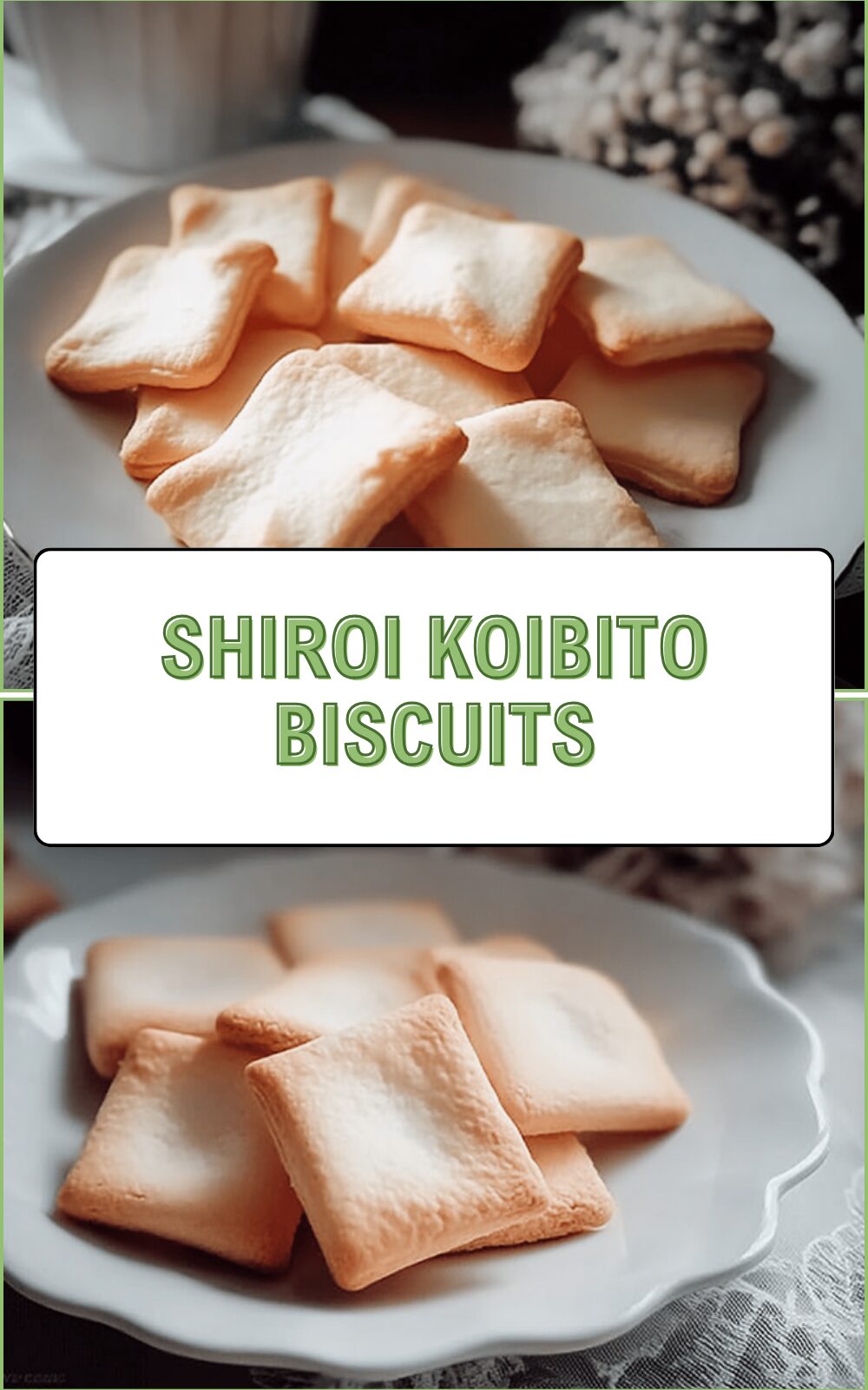 Shiroi Koibito Cookies Recipe Creamy White Chocolate Sandwich 6 Shiroi Koibito Biscuits