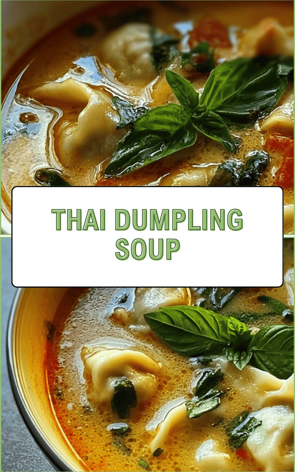 Thai Dumpling Soup