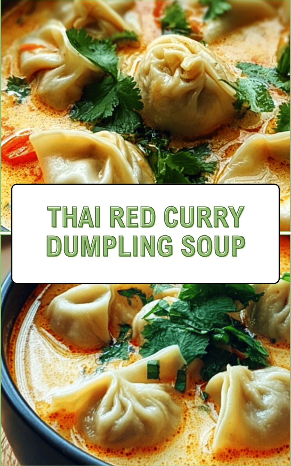 Thai Red Curry Dumpling Soup