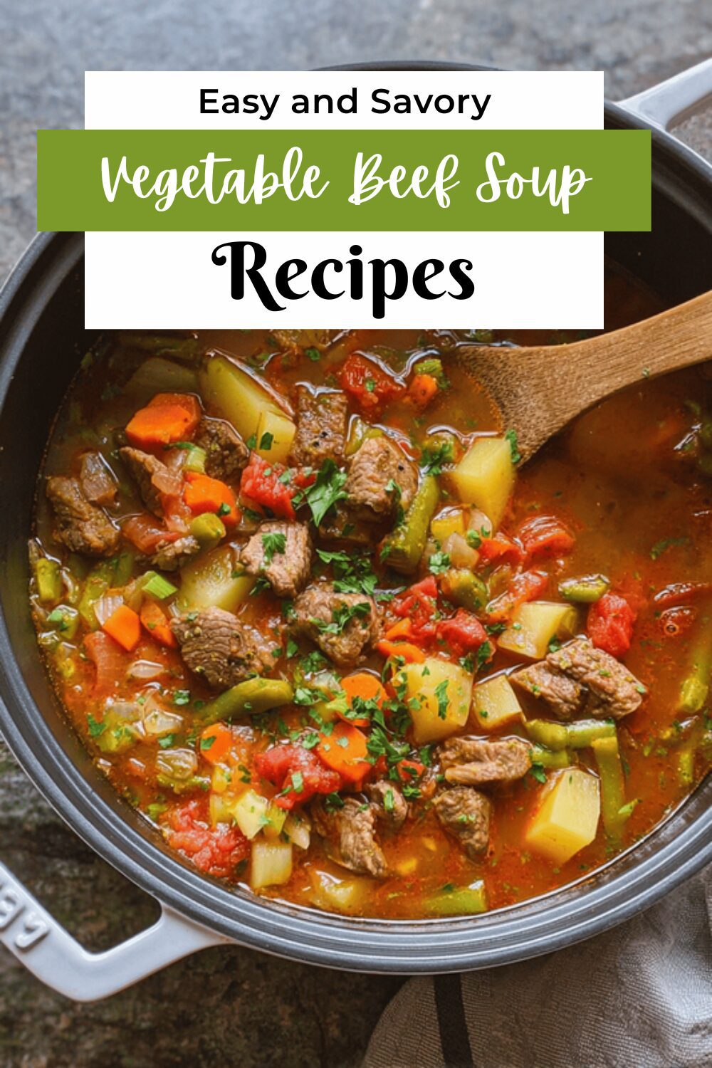 Vegetable Beef Soup