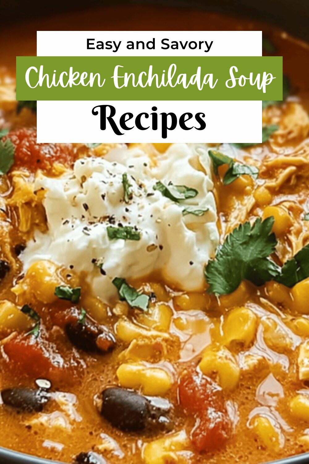 Chicken Enchilada Soup