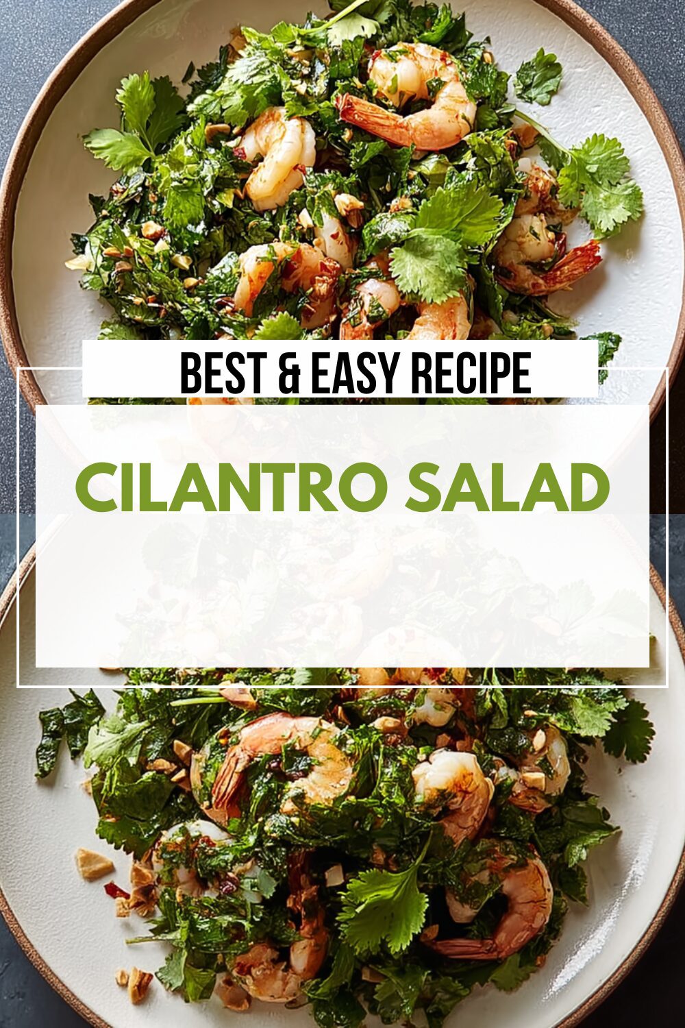 Cilantro Salad Recipes For Fresh And Flavorful Meals 7 Cilantro Salad
