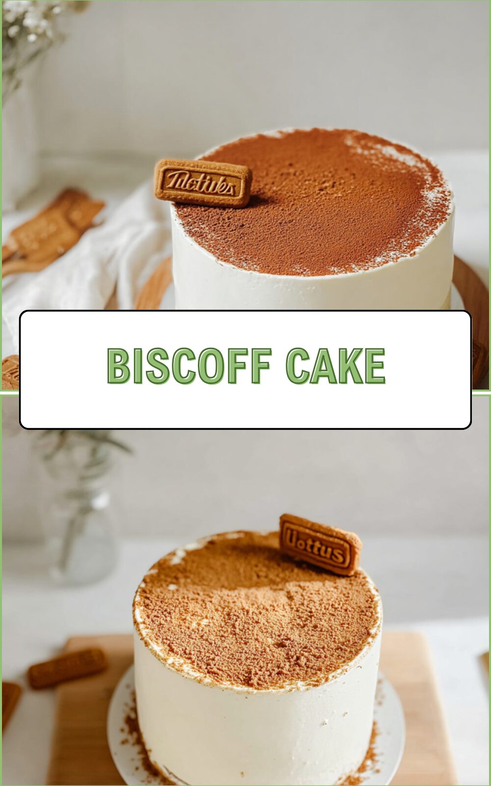 Biscoff Cake