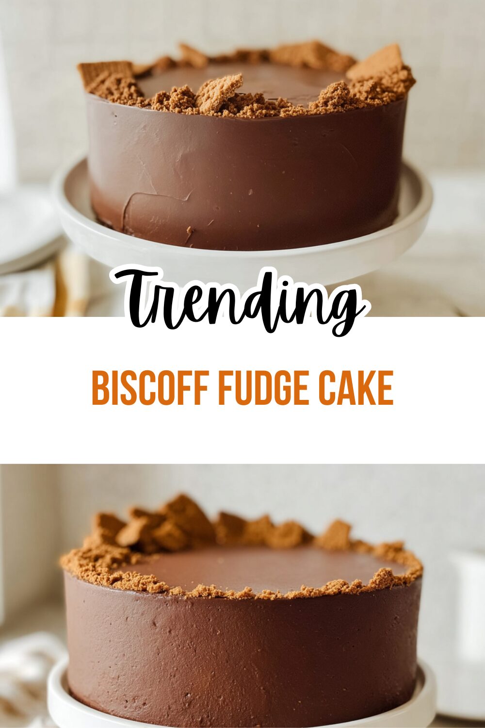 Biscoff Fudge Cake
