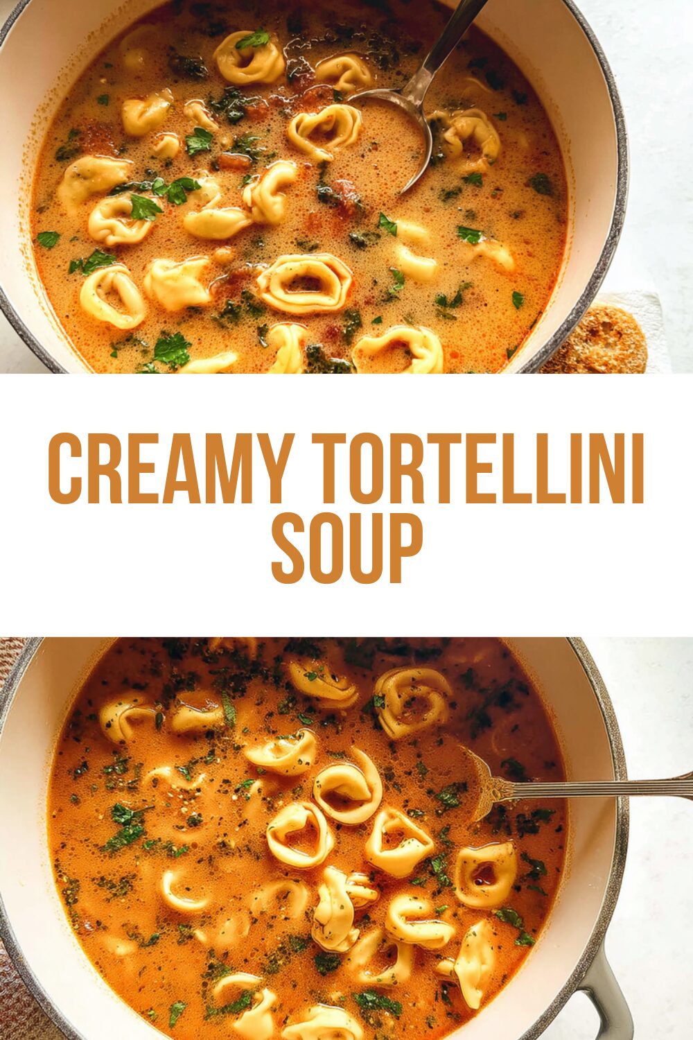 Creamy Tortellini Soup