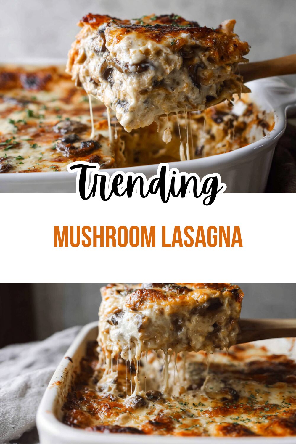 Mushroom Lasagna