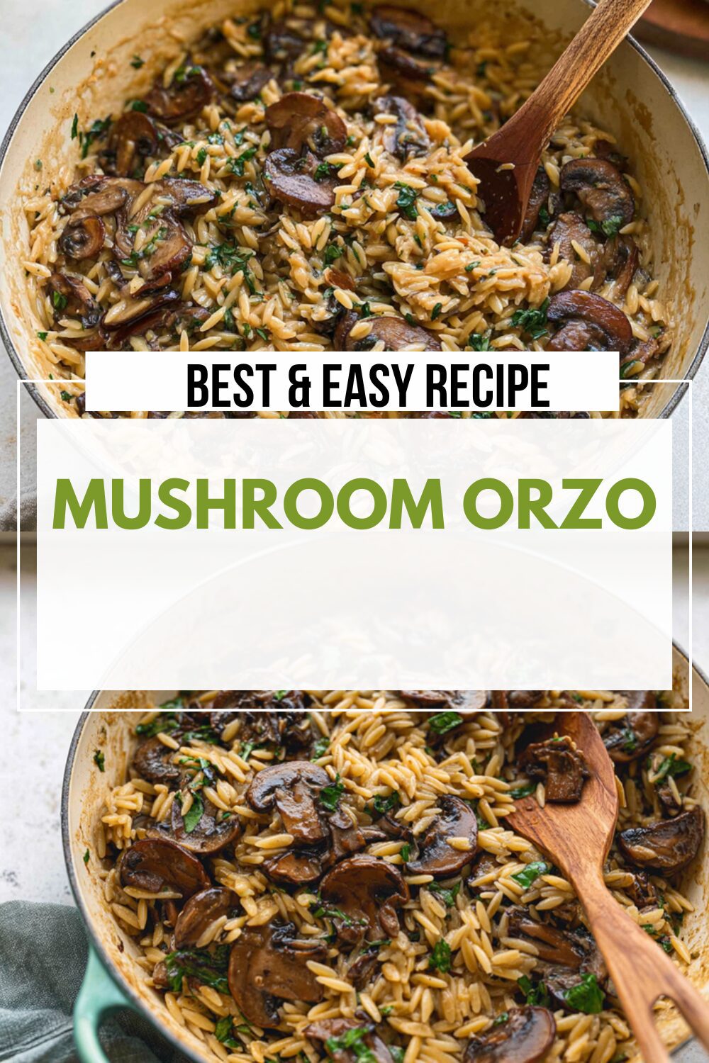 Mushroom Orzo