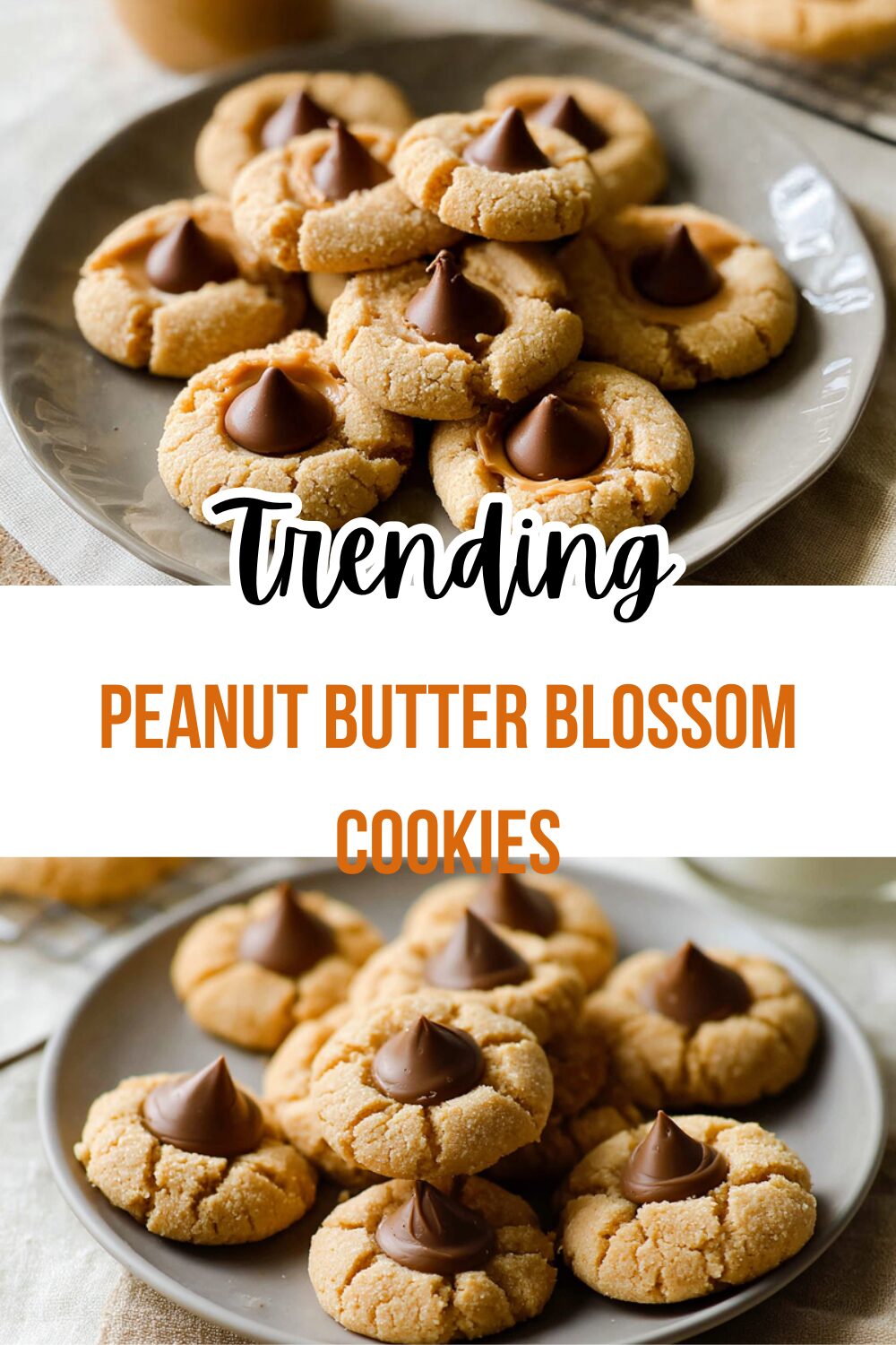 Classic Peanut Butter Blossom Cookies Recipe For Soft Chewy Treats 7 Peanut Butter Blossom Cookies
