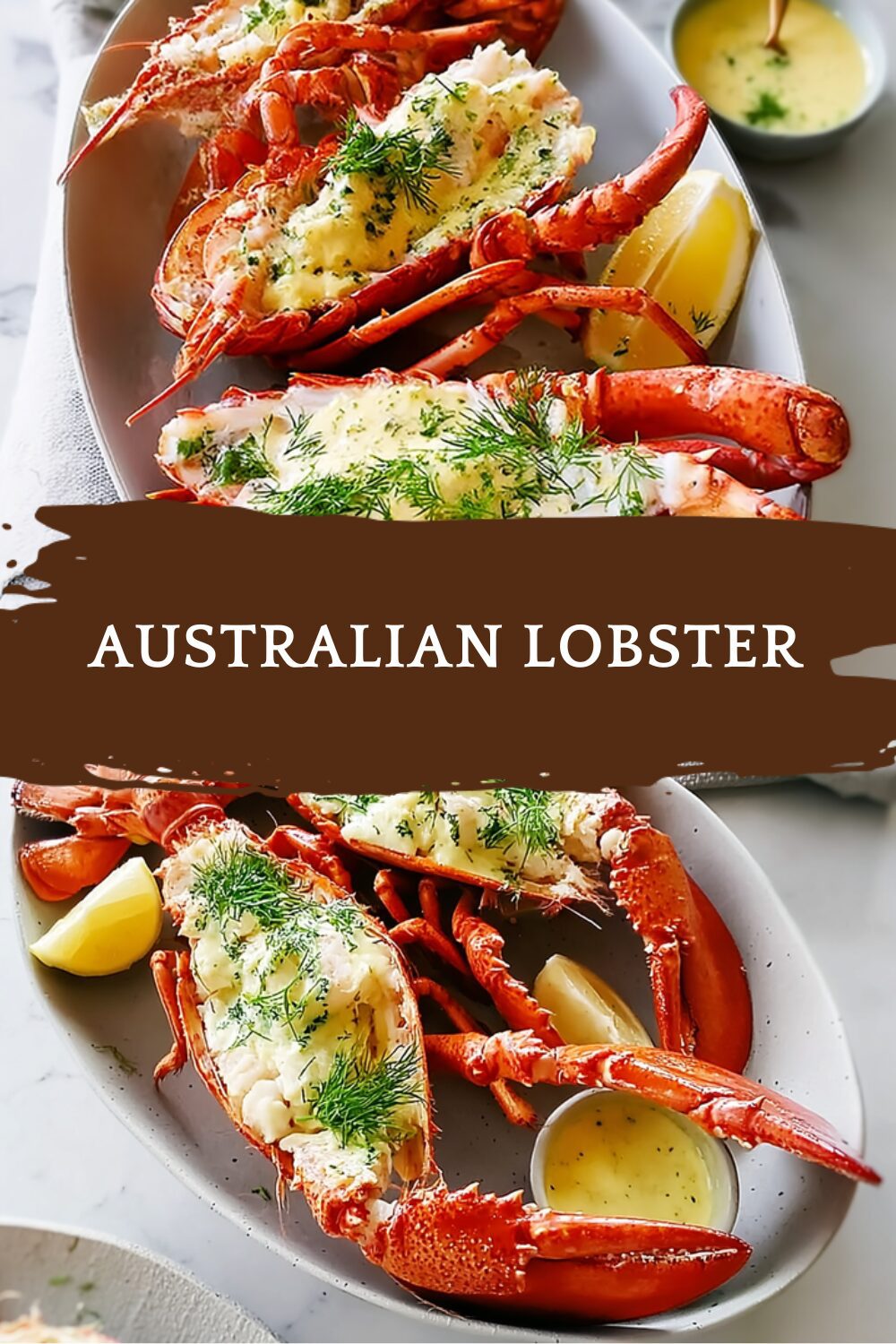 Panulirus Cygnus Facts Habitat And Culinary Uses In Australia 7 Australian Lobster