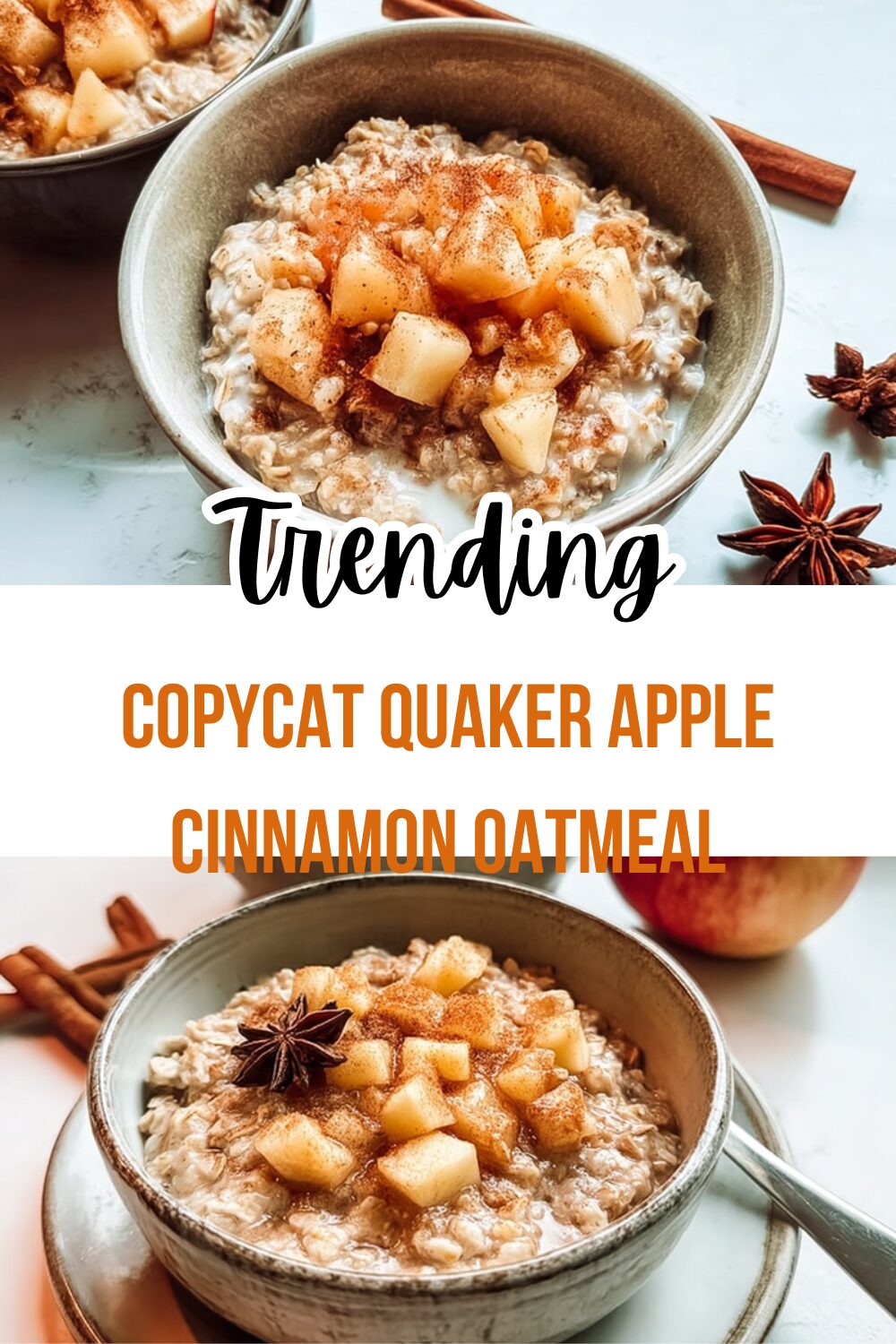 Copycat Quaker Apple Cinnamon Oatmeal