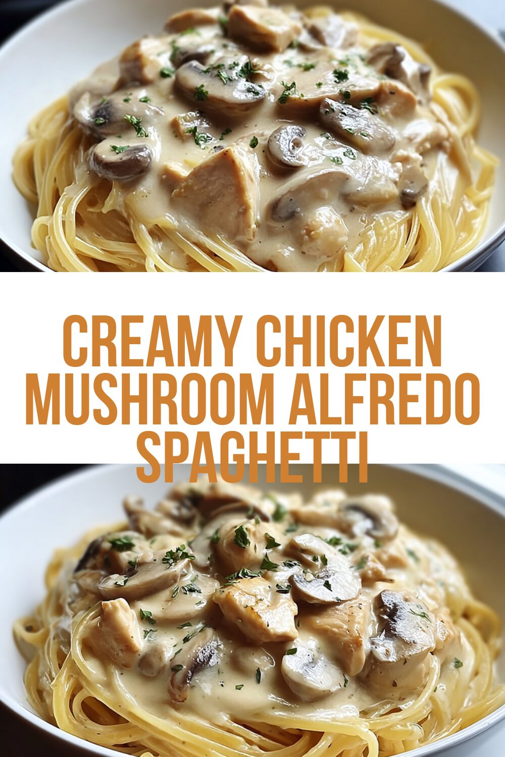 Creamy Chicken Mushroom Alfredo Spaghetti
