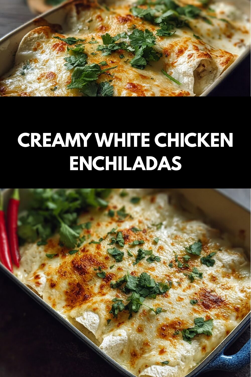 Creamy White Chicken Enchiladas